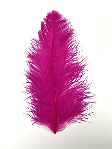 Straußenfedern, 58,4 - 71,1 cm, für Tafelaufsätze, Kostüm-Vasen, Theater-Bastelarbeiten, Hot Pink, 1 Stück Straußenfedern, 58,4 - 71,1 cm, für Tafelaufsätze, Kostüm-Vasen, Theater-Bastelarbeiten, Hot Pink, 1 Stück von ASKFNASDKMFN