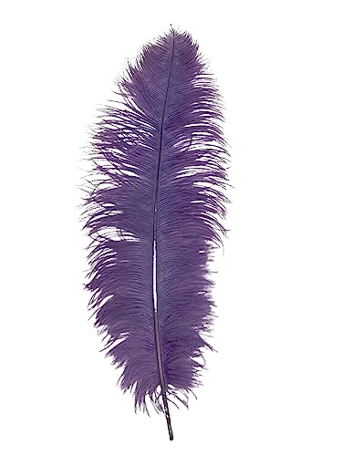 Straußenfedern, Amethyst, 58,4 - 71,1 cm, für Tafelaufsätze, Kostüm-Vasen, Theater-Bastelarbeiten, 1 Stück Straußenfedern, Amethyst, 58,4 - 71,1 cm, für Tafelaufsätze, Kostüm-Vasen, Theater-Bastelarbeiten, 1 Stück von ASKFNASDKMFN
