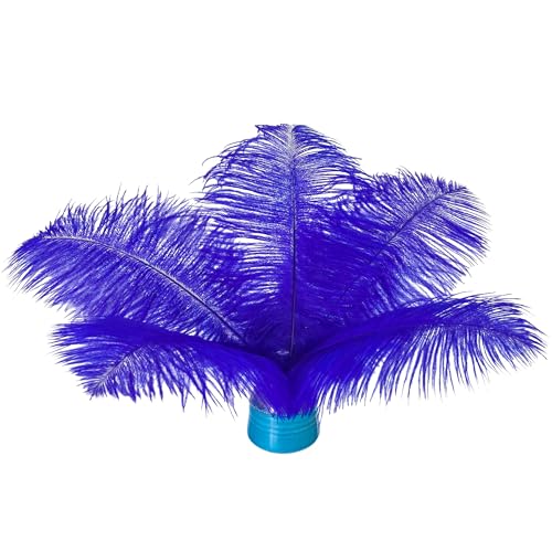 Straußenfedern, Blau, 15–20 cm, für DIY-Kleidung, Federstifte, Traumfänger, Gatsby-Dekorationen, 20 Stück Straußenfedern, Blau, 15–20 cm, für DIY-Kleidung, Federstifte, Traumfänger, Gatsby-Dekorationen, 20 Stück von ASKFNASDKMFN