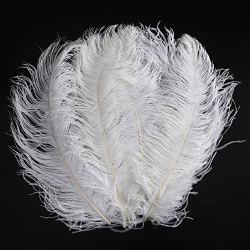 Straußenfedern, Dekoration, Basteln, Großpackung – 20 Stück, natürliche Pflaumen, Dekoration für Zuhause, Hochzeit, Party, DIY-Federn (50,8–55,9 cm, weiß) von ASKFNASDKMFN
