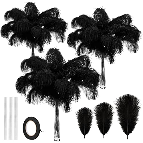 Straußenfedern, Großpackung, natürliche Federn, Dekoration, 30,5 - 35,6 cm, 25,4 - 30,5 cm, 20,3 - 25,4 cm, natürliche Straußenfedern für Hochzeit, Tafelaufsätze, Blumenarrangement, Heimdekoration Straußenfedern, Großpackung, natürliche Federn, Dekoration, 30,5 - 35,6 cm, 25,4 - 30,5 cm, 20,3 - 25,4 cm, natürliche Straußenfedern für Hochzeit, Tafelaufsätze, Blumenarrangement, Heimdekoration von ASKFNASDKMFN