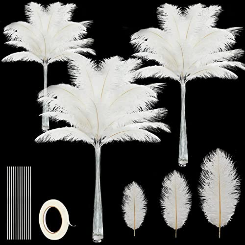 Straußenfedern, Großpackung, natürliche Federn, Dekoration, 30,5 - 35,6 cm, 25,4 - 30,5 cm, 20,3 - 25,4 cm, natürliche Straußenfedern für Hochzeit, Tafelaufsätze, Blumenarrangement, Heimdekoration Straußenfedern, Großpackung, natürliche Federn, Dekoration, 30,5 - 35,6 cm, 25,4 - 30,5 cm, 20,3 - 25,4 cm, natürliche Straußenfedern für Hochzeit, Tafelaufsätze, Blumenarrangement, Heimdekoration von ASKFNASDKMFN