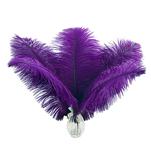Straußenfedern, Großpackung – 20,3–25,4 cm Federn für Vase, Partydekoration, Karneval und Heimdekoration, Violett, 24 Stück Straußenfedern, Großpackung – 20,3–25,4 cm Federn für Vase, Partydekoration, Karneval und Heimdekoration, Violett, 24 Stück von ASKFNASDKMFN