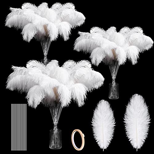 Straußenfedern, Großpackung 30,5 - 35,6 cm, 25,4 - 30,5 cm, 100 natürliche Federn für Vase mit 100 Stäbchen und Klebeband, Bastelset für DIY-Hochzeit, Blumenarrangement, Party, Tafelaufsatz Straußenfedern, Großpackung 30,5 - 35,6 cm, 25,4 - 30,5 cm, 100 natürliche Federn für Vase mit 100 Stäbchen und Klebeband, Bastelset für DIY-Hochzeit, Blumenarrangement, Party, Tafelaufsatz von ASKFNASDKMFN