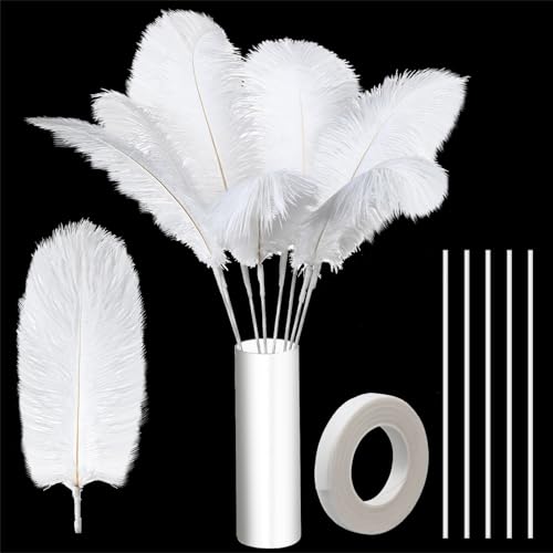 Straußenfedern, Großpackung für Vasen, groß, natürliche Straußenfedern, 20,3–30,5 cm, mit 80 Stück Eisendraht und 1 Klebeband für Vase, Blumenarrangement, Hochzeit, Party, Tafelaufsätze (weiß), 80 Straußenfedern, Großpackung für Vasen, groß, natürliche Straußenfedern, 20,3–30,5 cm, mit 80 Stück Eisendraht und 1 Klebeband für Vase, Blumenarrangement, Hochzeit, Party, Tafelaufsätze (weiß), 80 von ASKFNASDKMFN