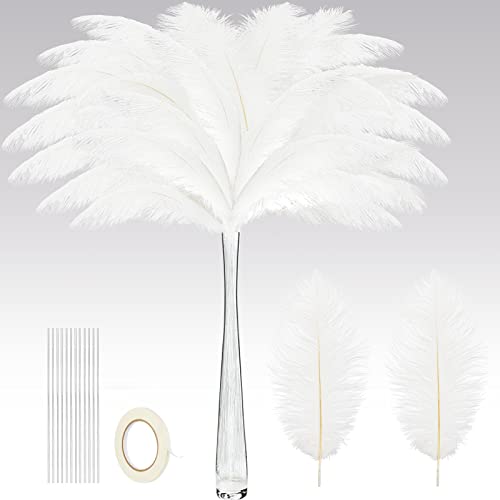 Straußenfedern, Großpackung mit Eisendraht für Tafelaufsätze, Boho, große 25,4 bis 30,5 cm Federn für Vasen, Hochzeit, Party, Blumenarrangement, Heimdekoration, 80 Stück (weiß) von ASKFNASDKMFN