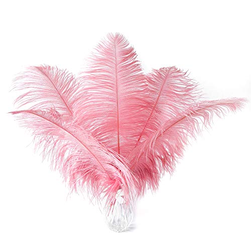 Straußenfedern, Lotusrosa, 24 Stück, 30,5–35,6 cm, große Federn, Großpackung für Vasen, Party-Mittelstücke, Hochzeit und Heimdekoration Straußenfedern, Lotusrosa, 24 Stück, 30,5–35,6 cm, große Federn, Großpackung für Vasen, Party-Mittelstücke, Hochzeit und Heimdekoration von ASKFNASDKMFN