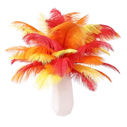 Straußenfedern, Rot, Orange, Gelb, 12 Stück, natürlich, 20 cm - 25 cm, für Bastelarbeiten, Hochzeit, Party, Tafelaufsätze, Halloween und Heimdekoration, Federn Straußenfedern, Rot, Orange, Gelb, 12 Stück, natürlich, 20 cm - 25 cm, für Bastelarbeiten, Hochzeit, Party, Tafelaufsätze, Halloween und Heimdekoration, Federn von ASKFNASDKMFN
