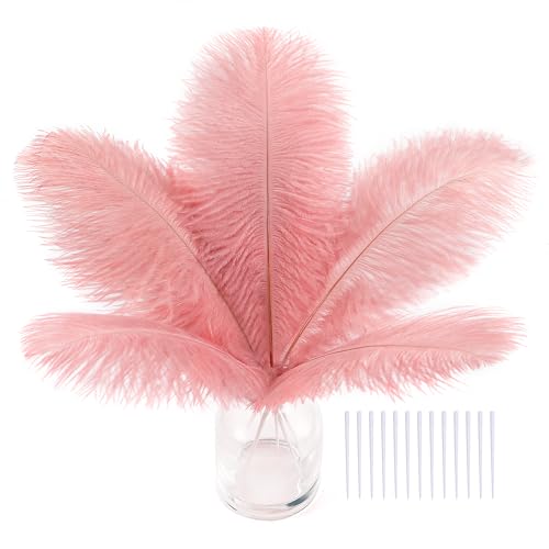 Straußenfedern, Straußenfedern, 15,2–20,3 cm, für Hochzeitsdekorationen, Hüte und DIY-Projekte, Rosa, 30 Stück von ASKFNASDKMFN