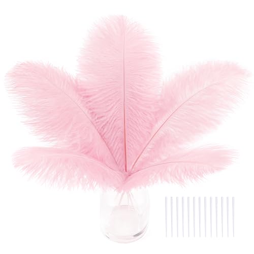 Straußenfedern, Straußenfedern, Set für Tafelaufsätze, Kindergarten, Traumfänger und DIY-Projekte, 20,3–25,4 cm, Rosa, 30 Stück Straußenfedern, Straußenfedern, Set für Tafelaufsätze, Kindergarten, Traumfänger und DIY-Projekte, 20,3–25,4 cm, Rosa, 30 Stück von ASKFNASDKMFN