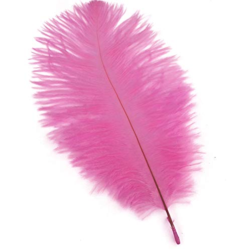 Straußenfedern, Tischdekoration, 20 - 25 cm, Rosa, 20 - 25 cm Straußenfedern, Tischdekoration, 20 - 25 cm, Rosa, 20 - 25 cm von ASKFNASDKMFN