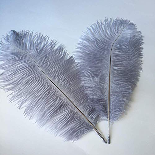 Straußenfedern, für Hochzeit, Dekoration, 40–45 cm, Grau, 10 Stück Straußenfedern, für Hochzeit, Dekoration, 40–45 cm, Grau, 10 Stück von ASKFNASDKMFN