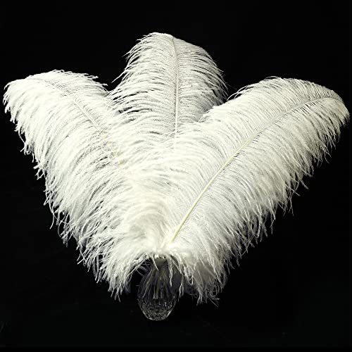 Straußenfedern, groß, 40,6–45,7 cm, Beige, 10 Stück, für Hochzeitsfeiern, Blumenarrangements und Heimdekorationen (Beige) von ASKFNASDKMFN