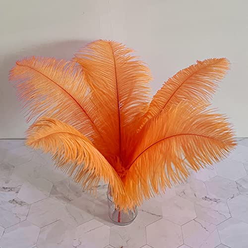 Straußenfedern, groß, 40,6–45,7 cm, flauschige Federn für Bastelarbeiten, Zuhause, Party, Dekoration, Hochzeit, Tafelaufsätze, Kleidung, Vase, Dekoration, 10 Stück Straußenfedern, groß, 40,6–45,7 cm, flauschige Federn für Bastelarbeiten, Zuhause, Party, Dekoration, Hochzeit, Tafelaufsätze, Kleidung, Vase, Dekoration, 10 Stück von ASKFNASDKMFN