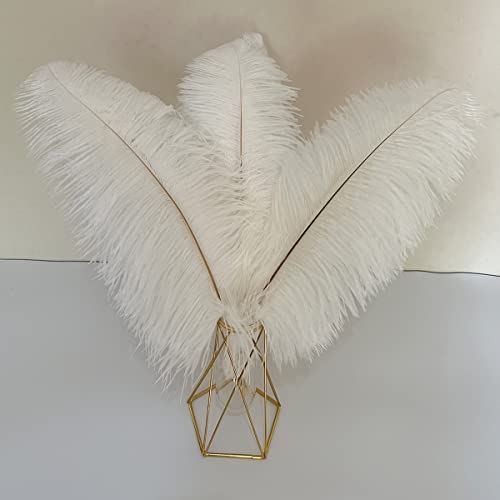 Straußenfedern, groß, 40,6–45,7 cm, flauschige Federn zum Basteln, für Zuhause, Party, Hochzeit, Tafelaufsätze, Kleidung, Vase, Dekoration, 10 Stück Straußenfedern, groß, 40,6–45,7 cm, flauschige Federn zum Basteln, für Zuhause, Party, Hochzeit, Tafelaufsätze, Kleidung, Vase, Dekoration, 10 Stück von ASKFNASDKMFN