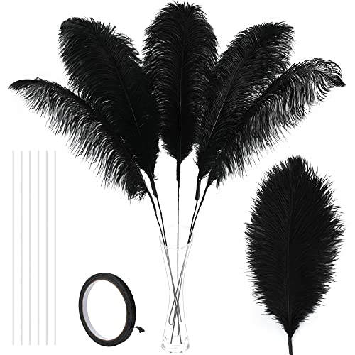 Straußenfedern, groß, Schwarz, 10 Stück, 86,4 cm, extra große Straußenfedern für große Vasen, Halloween, Gatsby, Partydekoration und Hochzeitsdekoration (schwarz) von ASKFNASDKMFN