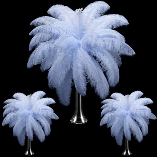 Straußenfedern, groß, natürlich, 35 - 40 cm, 30 - 35 cm, 25 - 30 cm, Straußenfedern für Tafelaufsätze, Hochzeit, Hellblau, 90 Stück Straußenfedern, groß, natürlich, 35 - 40 cm, 30 - 35 cm, 25 - 30 cm, Straußenfedern für Tafelaufsätze, Hochzeit, Hellblau, 90 Stück von ASKFNASDKMFN