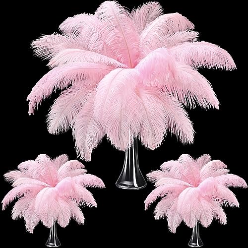 Straußenfedern, groß, natürlich, 35 - 40 cm, 30 - 35 cm, 25 - 30 cm, Straußenfedern für Tafelaufsätze, Hochzeit, Rosa, 90 Stück Straußenfedern, groß, natürlich, 35 - 40 cm, 30 - 35 cm, 25 - 30 cm, Straußenfedern für Tafelaufsätze, Hochzeit, Rosa, 90 Stück von ASKFNASDKMFN