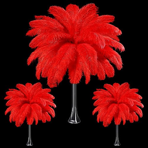Straußenfedern, groß, natürlich, 35 - 40 cm, 30 - 35 cm, 25 - 30 cm, Straußenfedern für Tafelaufsätze, Hochzeit, Rot, 90 Stück Straußenfedern, groß, natürlich, 35 - 40 cm, 30 - 35 cm, 25 - 30 cm, Straußenfedern für Tafelaufsätze, Hochzeit, Rot, 90 Stück von ASKFNASDKMFN