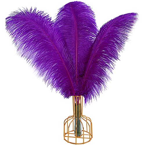Straußenfedern, groß, natürlich, 50 cm - 55 cm, für Hochzeit, Party, Tafelaufsatz, Ostern, Gatsbi und Dekoration, Violett, 12 Stück Straußenfedern, groß, natürlich, 50 cm - 55 cm, für Hochzeit, Party, Tafelaufsatz, Ostern, Gatsbi und Dekoration, Violett, 12 Stück von ASKFNASDKMFN