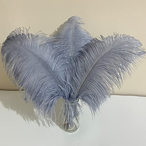Straußenfedern, groß, silbergrau, 40,6–45,7 cm, flauschige Federn zum Basteln, für Zuhause, Party, Hochzeit, Tafelaufsätze, Kleidung, Vase, Dekoration, 10 Stück Straußenfedern, groß, silbergrau, 40,6–45,7 cm, flauschige Federn zum Basteln, für Zuhause, Party, Hochzeit, Tafelaufsätze, Kleidung, Vase, Dekoration, 10 Stück von ASKFNASDKMFN