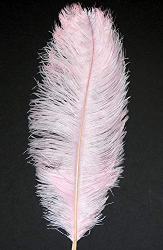 Straußenfedern, hellrosa, 58,4 - 71,1 cm, für Tafelaufsätze, Kostüm-Vasen, Theater-Bastelarbeiten, 1 Stück Straußenfedern, hellrosa, 58,4 - 71,1 cm, für Tafelaufsätze, Kostüm-Vasen, Theater-Bastelarbeiten, 1 Stück von ASKFNASDKMFN