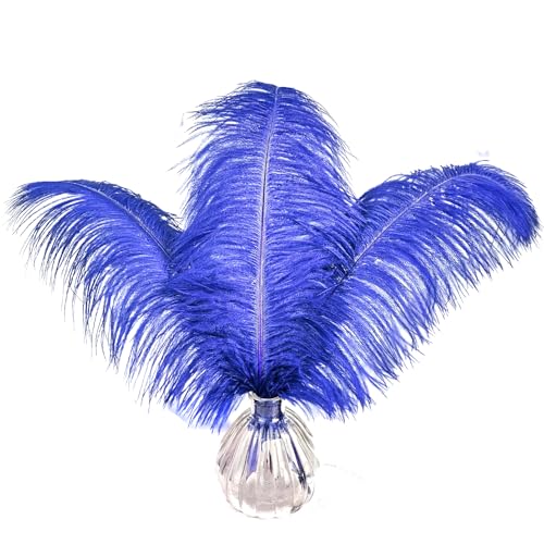 Straußenfedern, königsblau, 40,6–45,7 cm, für Hochzeit, Party, Tafelaufsatz, Heimdekoration, Basteln, 10 Stück Straußenfedern, königsblau, 40,6–45,7 cm, für Hochzeit, Party, Tafelaufsatz, Heimdekoration, Basteln, 10 Stück von ASKFNASDKMFN