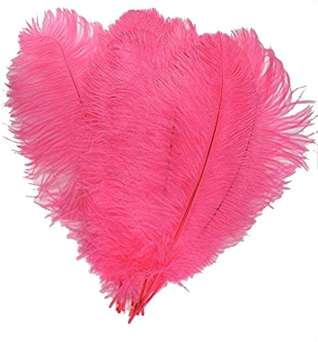 Straußenfedern, natürlich, 19,8–24,9 cm, für Hochzeit, Dekoration, 10 Stück (Hot Pink) von ASKFNASDKMFN
