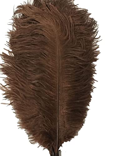 Straußenfedern, natürlich, 19,8–24,9 cm, für Hochzeit, Dekoration, Braun, 10 Stück Straußenfedern, natürlich, 19,8–24,9 cm, für Hochzeit, Dekoration, Braun, 10 Stück von ASKFNASDKMFN