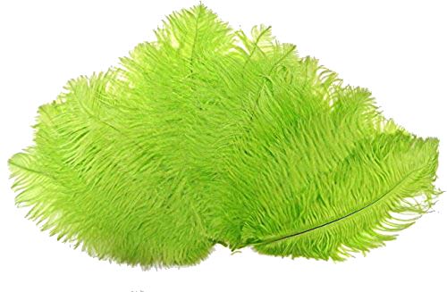 Straußenfedern, natürlich, 19,8–24,9 cm, für Hochzeit, Dekoration, Limette, 10 Stück Straußenfedern, natürlich, 19,8–24,9 cm, für Hochzeit, Dekoration, Limette, 10 Stück von ASKFNASDKMFN