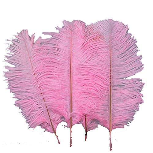 Straußenfedern, natürlich, 19,8–24,9 cm, für Hochzeit, Dekoration, Rosa, 10 Stück von ASKFNASDKMFN