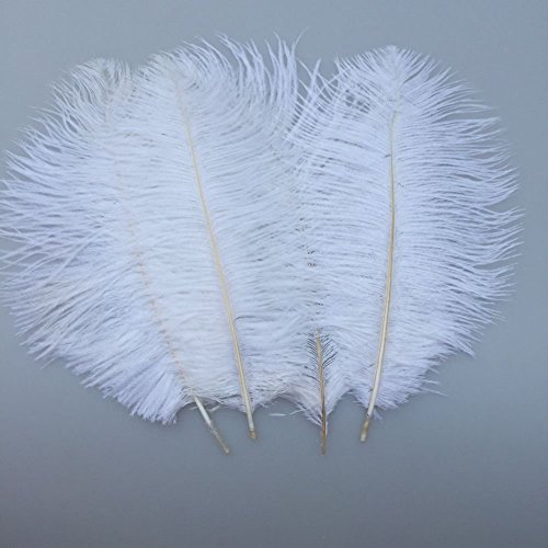 Straußenfedern, natürlich, 19,8–24,9 cm, für Hochzeit, Dekoration, Weiß, 10 Stück Straußenfedern, natürlich, 19,8–24,9 cm, für Hochzeit, Dekoration, Weiß, 10 Stück von ASKFNASDKMFN