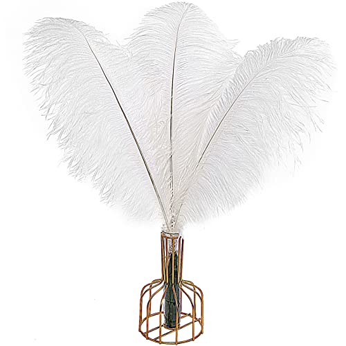Straußenfedern, natürlich, 50 - 55 cm, für Hochzeit, Party, Tafelaufsatz, Ostern, Gatsby und Heimdekoration, Straußenfedern, 12 Stück Straußenfedern, natürlich, 50 - 55 cm, für Hochzeit, Party, Tafelaufsatz, Ostern, Gatsby und Heimdekoration, Straußenfedern, 12 Stück von ASKFNASDKMFN