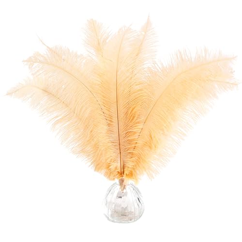 Straußenfedern, natürlich, Champagner, 35 - 40 cm, für Bastelarbeiten, Blumen, Vasen, Hochzeit, Party, Tafelaufsatz, Dekoration, 50 Stück Straußenfedern, natürlich, Champagner, 35 - 40 cm, für Bastelarbeiten, Blumen, Vasen, Hochzeit, Party, Tafelaufsatz, Dekoration, 50 Stück von ASKFNASDKMFN