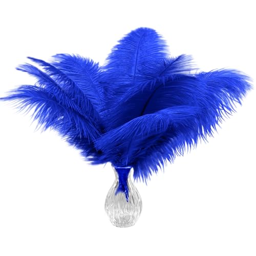 Straußenfedern, natürlich, blau, 30-35 cm, Großpackung für Hochzeiten, Partys, Bastelarbeiten, Kleidung, Gatsby-Dekorationen, 20 Stück Straußenfedern, natürlich, blau, 30-35 cm, Großpackung für Hochzeiten, Partys, Bastelarbeiten, Kleidung, Gatsby-Dekorationen, 20 Stück von ASKFNASDKMFN