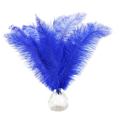 Straußenfedern, natürlich, blau, 35 - 40 cm, für Bastelarbeiten, Blumen, Vasen, Hochzeit, Party, Tafelaufsatz, Dekoration, 50 Stück Straußenfedern, natürlich, blau, 35 - 40 cm, für Bastelarbeiten, Blumen, Vasen, Hochzeit, Party, Tafelaufsatz, Dekoration, 50 Stück von ASKFNASDKMFN