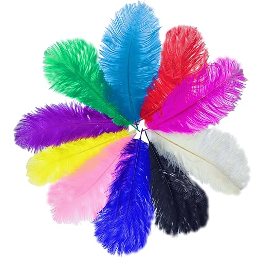 Straußenfedern, natürlich, bunt, 25–30 cm, bunte Straußenfedern für Traumhochzeit, Partyverzierungen, Bastelarbeiten, Heimdekorationen, bunt, 25,4–30,5 cm, 10 Stück Straußenfedern, natürlich, bunt, 25–30 cm, bunte Straußenfedern für Traumhochzeit, Partyverzierungen, Bastelarbeiten, Heimdekorationen, bunt, 25,4–30,5 cm, 10 Stück von ASKFNASDKMFN
