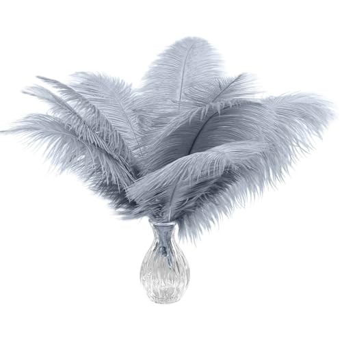 Straußenfedern, natürlich, grau, 30-35 cm, Großpackung für Hochzeiten, Partys, Bastelarbeiten, Kleidung, Gatsby-Dekorationen, 20 Stück Straußenfedern, natürlich, grau, 30-35 cm, Großpackung für Hochzeiten, Partys, Bastelarbeiten, Kleidung, Gatsby-Dekorationen, 20 Stück von ASKFNASDKMFN