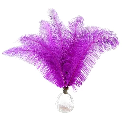 Straußenfedern, natürlich, lila, 35 - 40 cm, für Bastelarbeiten, Blumen, Vasen, Hochzeit, Party, Tafelaufsatz, Dekoration, 50 Stück Straußenfedern, natürlich, lila, 35 - 40 cm, für Bastelarbeiten, Blumen, Vasen, Hochzeit, Party, Tafelaufsatz, Dekoration, 50 Stück von ASKFNASDKMFN