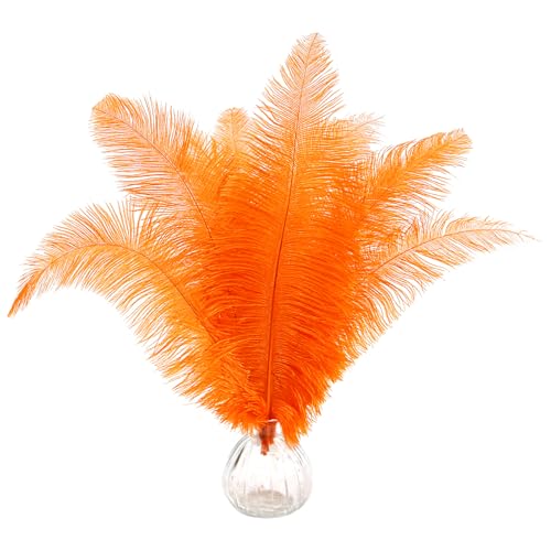Straußenfedern, natürlich, orange, 35–40 cm, für Bastelarbeiten, Blumen, Vasen, Hochzeit, Party, Tafelaufsatz, Dekoration, 50 Stück Straußenfedern, natürlich, orange, 35–40 cm, für Bastelarbeiten, Blumen, Vasen, Hochzeit, Party, Tafelaufsatz, Dekoration, 50 Stück von ASKFNASDKMFN