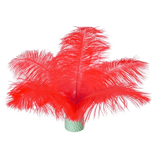 Straußenfedern, natürlich, rot, 15–20 cm, für DIY-Kleidung, Federstifte, Traumfänger, Gatsby-Dekorationen, 20 Stück Straußenfedern, natürlich, rot, 15–20 cm, für DIY-Kleidung, Federstifte, Traumfänger, Gatsby-Dekorationen, 20 Stück von ASKFNASDKMFN