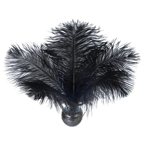 Straußenfedern, natürlich, schwarz, 20-25 cm, für DIY-Kleidung, Federstifte, Traumfänger, Gatsby-Dekorationen, 20 Stück Straußenfedern, natürlich, schwarz, 20-25 cm, für DIY-Kleidung, Federstifte, Traumfänger, Gatsby-Dekorationen, 20 Stück von ASKFNASDKMFN