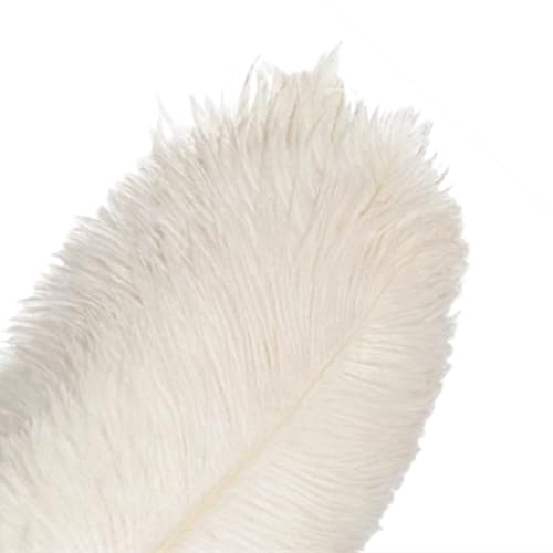 Straußenfedern, natürlich, weiß, 25–30 cm, schöne lange Federn zum Basteln, für Hochzeiten, Partys, Heimdekoration, Kleid und Weihnachten, DIY, Weiß, 25,4–30,5 cm, 10 Stück Straußenfedern, natürlich, weiß, 25–30 cm, schöne lange Federn zum Basteln, für Hochzeiten, Partys, Heimdekoration, Kleid und Weihnachten, DIY, Weiß, 25,4–30,5 cm, 10 Stück von ASKFNASDKMFN