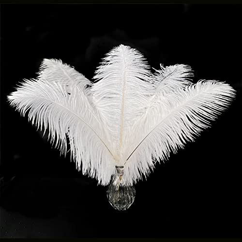 Straußenfedern, natürlich, weiß, 30 - 35 cm, für Hochzeiten, Partys, Bastelarbeiten, Kleidung, Gatsby-Dekorationen, 20 Stück Straußenfedern, natürlich, weiß, 30 - 35 cm, für Hochzeiten, Partys, Bastelarbeiten, Kleidung, Gatsby-Dekorationen, 20 Stück von ASKFNASDKMFN