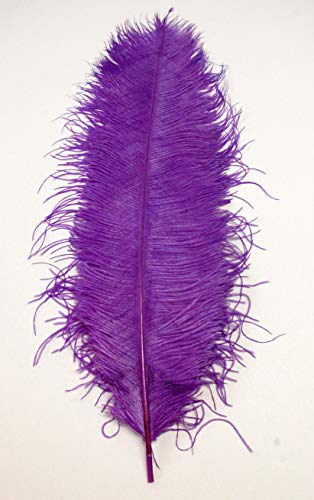 Straußenfedern, violett, 58,4 - 71,1 cm, für Tafelaufsätze, Kostüm-Vasen, Theater-Bastelarbeiten, 1 Stück Straußenfedern, violett, 58,4 - 71,1 cm, für Tafelaufsätze, Kostüm-Vasen, Theater-Bastelarbeiten, 1 Stück von ASKFNASDKMFN