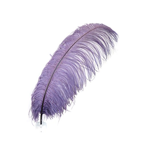 Straußenfedern - Prime Femina - 61–76,2 cm hoch - 25 Stück für Veranstaltungen, Hochzeitsdekoration, Heimdekoration, Kunsthandwerk - Amethyst Straußenfedern - Prime Femina - 61–76,2 cm hoch - 25 Stück für Veranstaltungen, Hochzeitsdekoration, Heimdekoration, Kunsthandwerk - Amethyst von ASKFNASDKMFN