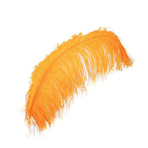 Straußenfedern – Prime Femina – 61–76,2 cm hoch – 25 Stück für Veranstaltungen, Hochzeitsdekoration, Heimdekoration, Kunsthandwerk – Orange Straußenfedern – Prime Femina – 61–76,2 cm hoch – 25 Stück für Veranstaltungen, Hochzeitsdekoration, Heimdekoration, Kunsthandwerk – Orange von ASKFNASDKMFN