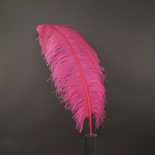 Straußenfedern - Prime Femina - 61–76,2 cm hoch - 25 Stück für Veranstaltungen, Hochzeitsdekoration, Heimdekoration, Kunsthandwerk - Pink Orient Straußenfedern - Prime Femina - 61–76,2 cm hoch - 25 Stück für Veranstaltungen, Hochzeitsdekoration, Heimdekoration, Kunsthandwerk - Pink Orient von ASKFNASDKMFN