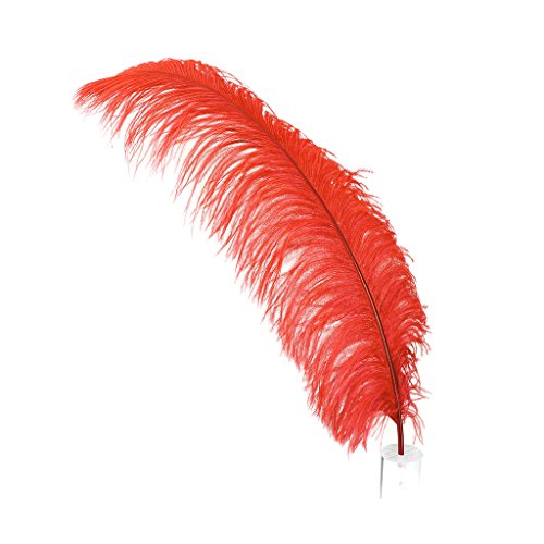 Straußenfedern – Prime Femina – 61–76,2 cm hoch – 25 Stück für Veranstaltungen, Hochzeitsdekoration, Heimdekoration, Kunsthandwerk – Rot Straußenfedern – Prime Femina – 61–76,2 cm hoch – 25 Stück für Veranstaltungen, Hochzeitsdekoration, Heimdekoration, Kunsthandwerk – Rot von ASKFNASDKMFN
