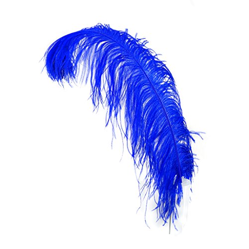 Straußenfedern - Prime Femina - 61–76,2 cm hoch - 25 Stück für Veranstaltungen, Hochzeitsdekoration, Heimdekoration, Kunsthandwerk - Royalblau von ASKFNASDKMFN